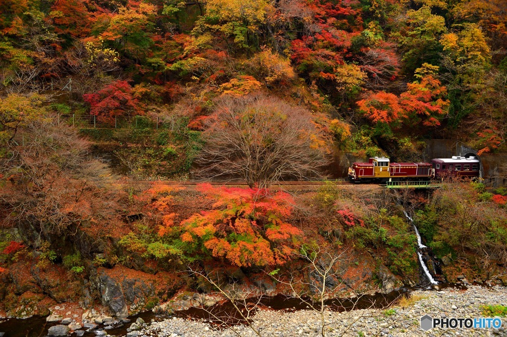 トロッコ、のそりと。