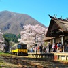 茅葺屋根の駅に桜が咲いた。