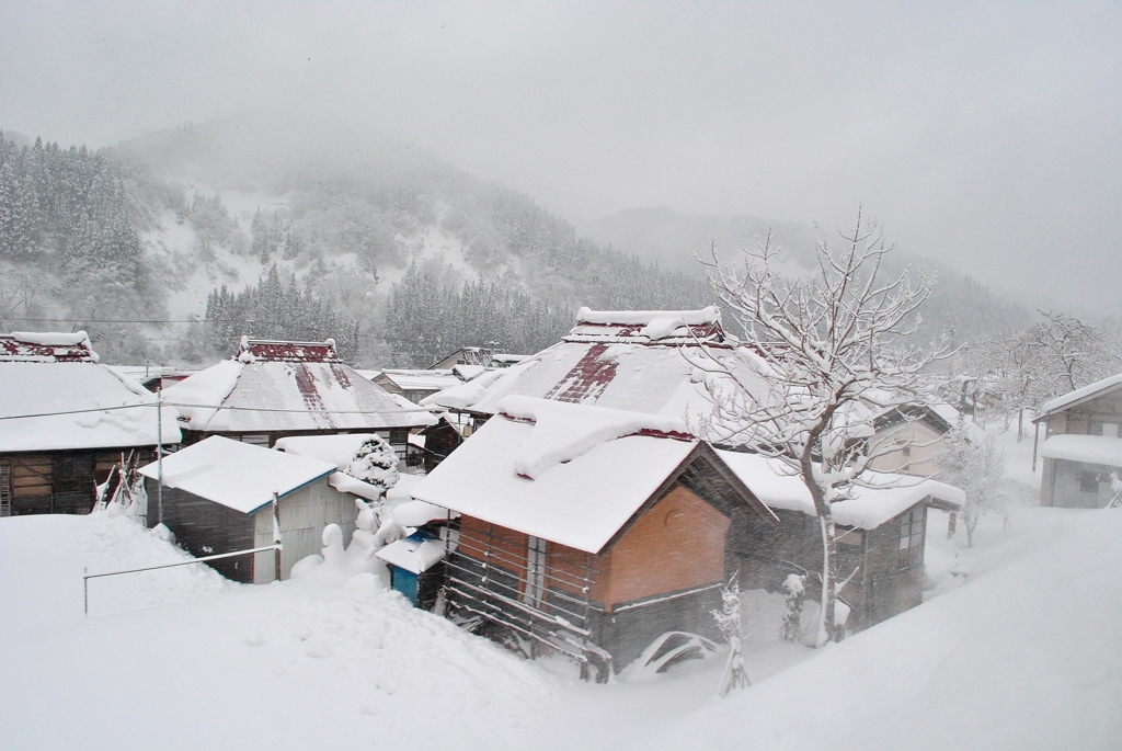 只見線の車窓より…雪の集落。