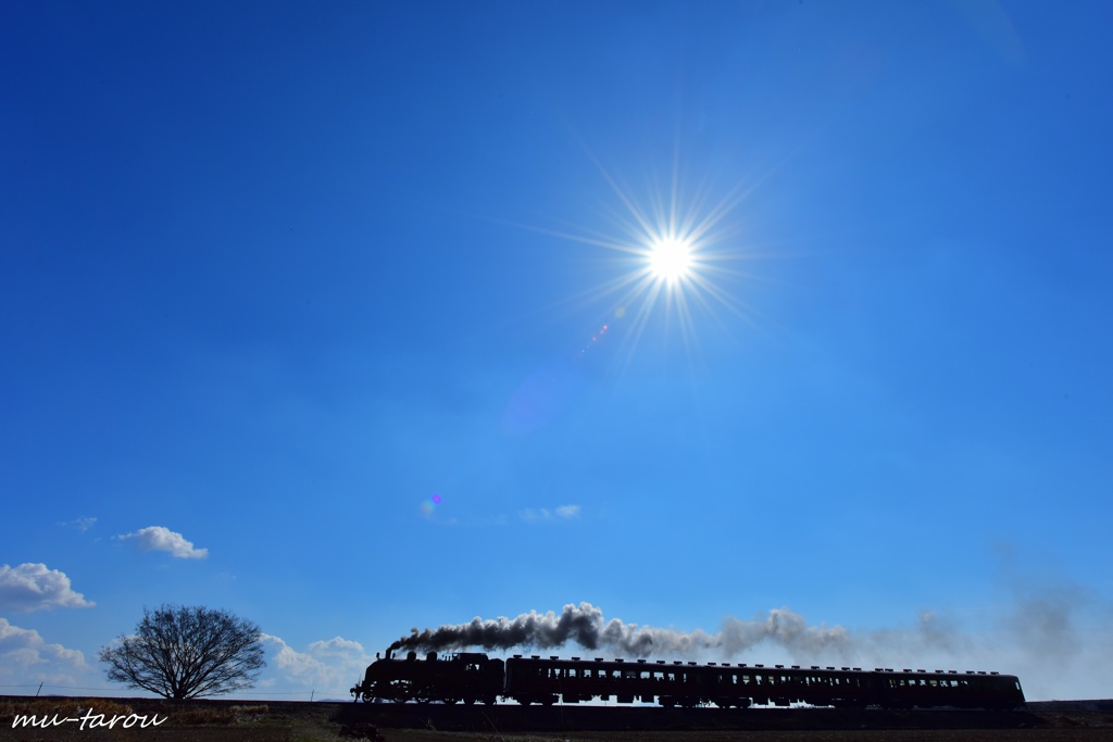 Sun