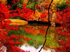 湯の湖、紅の巻