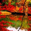 湯の湖、紅の巻