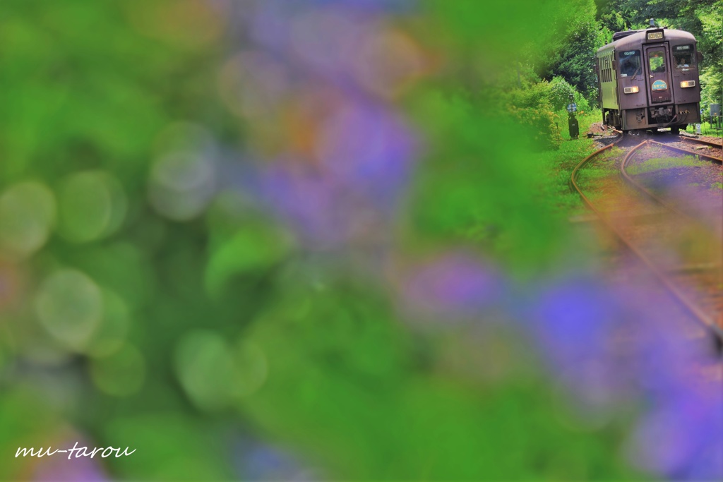 311号車 たかつど