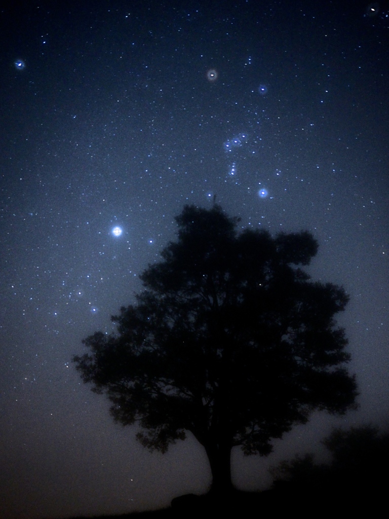 霧の中のシリウス