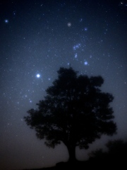 霧の中のシリウス