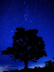 星撮り練習中