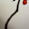 木守り