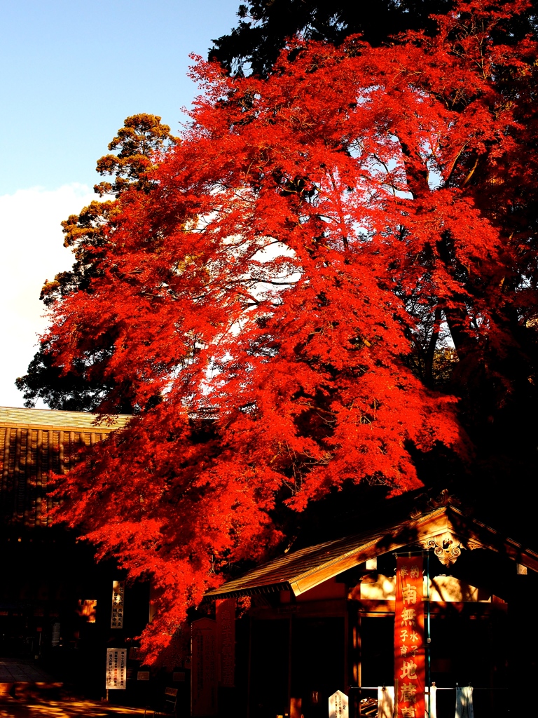 白峰寺　秋の風景