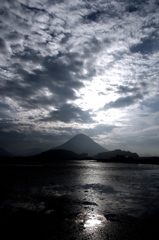 夏の朝