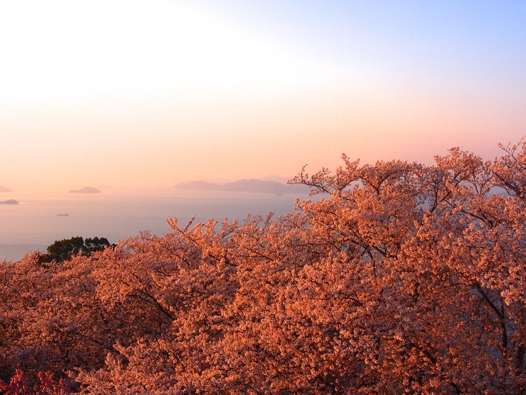 紫雲出山…去年