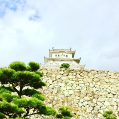 姫路城2