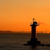 瀬戸内海の灯台