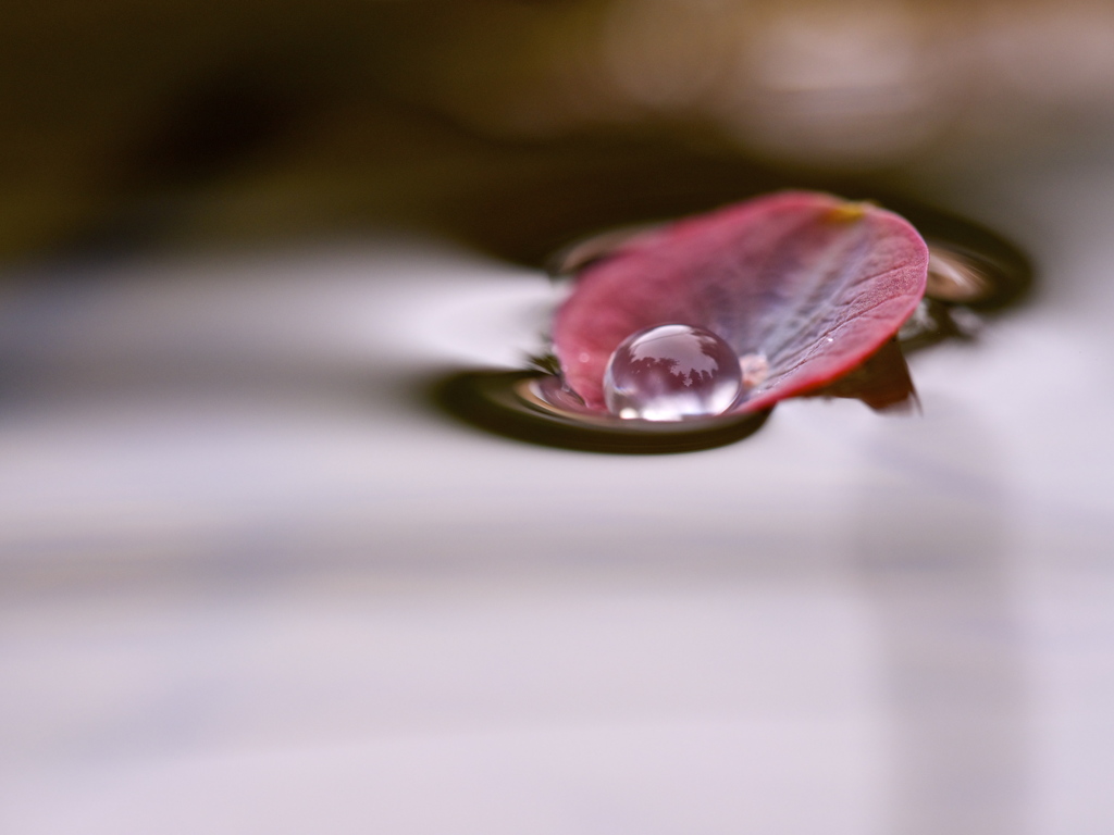 水盤