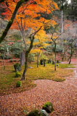 光明禅寺