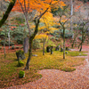 光明禅寺