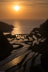 浜野浦の棚田