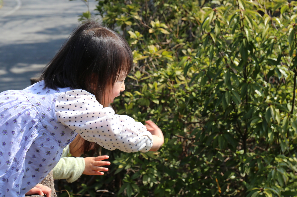 誰に手を振ってるのでしょうか