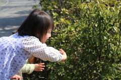 誰に手を振ってるのでしょうか