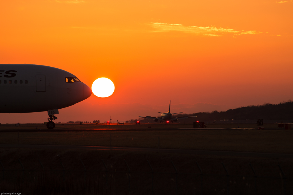 夕日にKISS