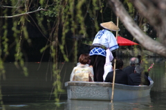 柳川　川下り