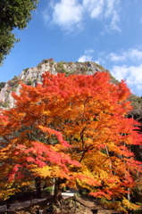 「御船山楽園」　大もみじ