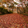 紅い道