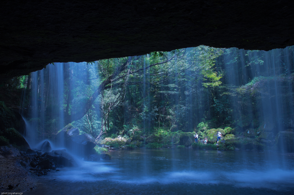 裏から失礼します