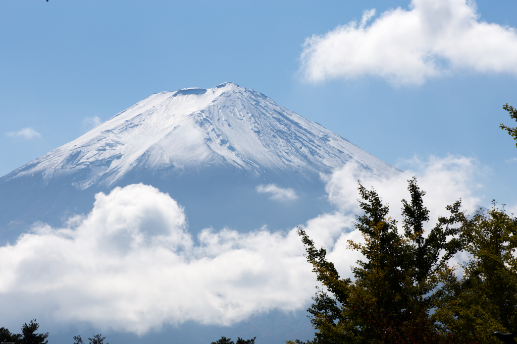 富士山