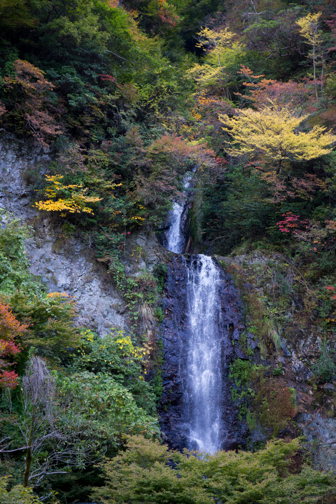 金龍の滝