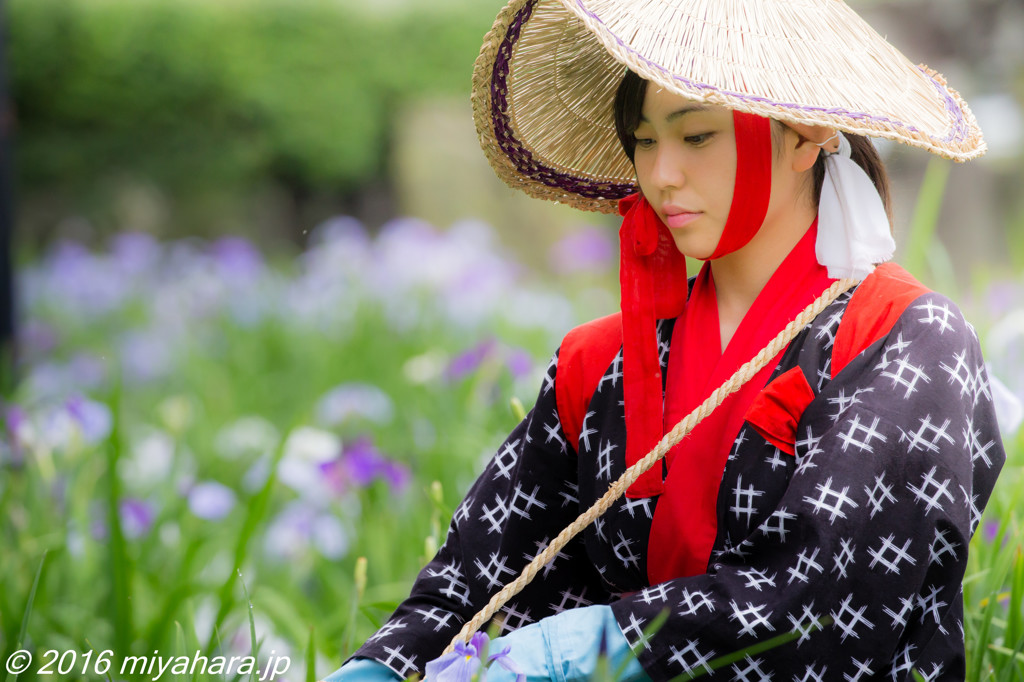 花摘み娘