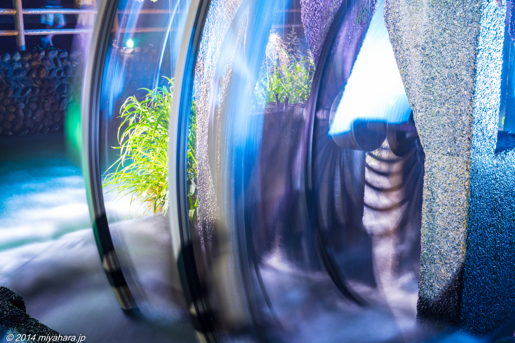 あさくら三連水車