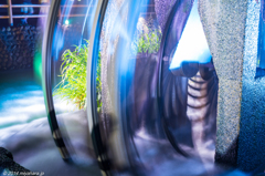 あさくら三連水車