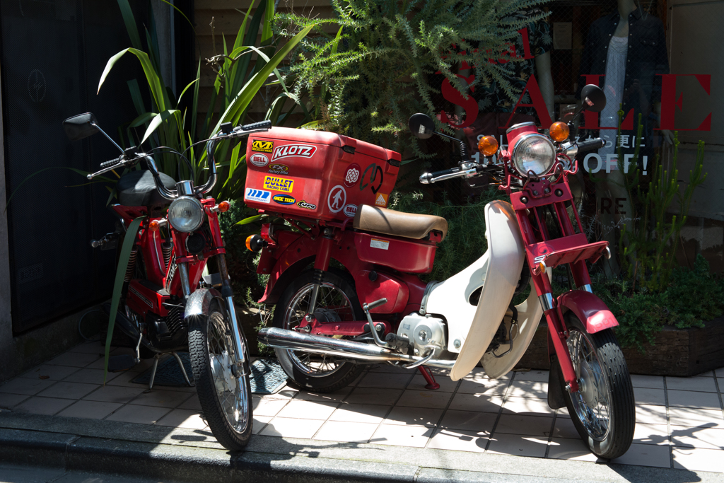 バイクたち