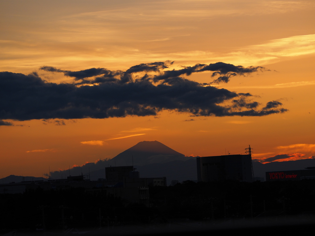 夕日にたたずむ