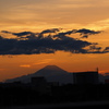 夕日にたたずむ