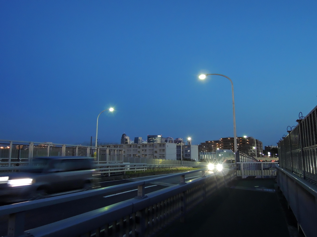 夜の光