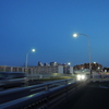 夜の光