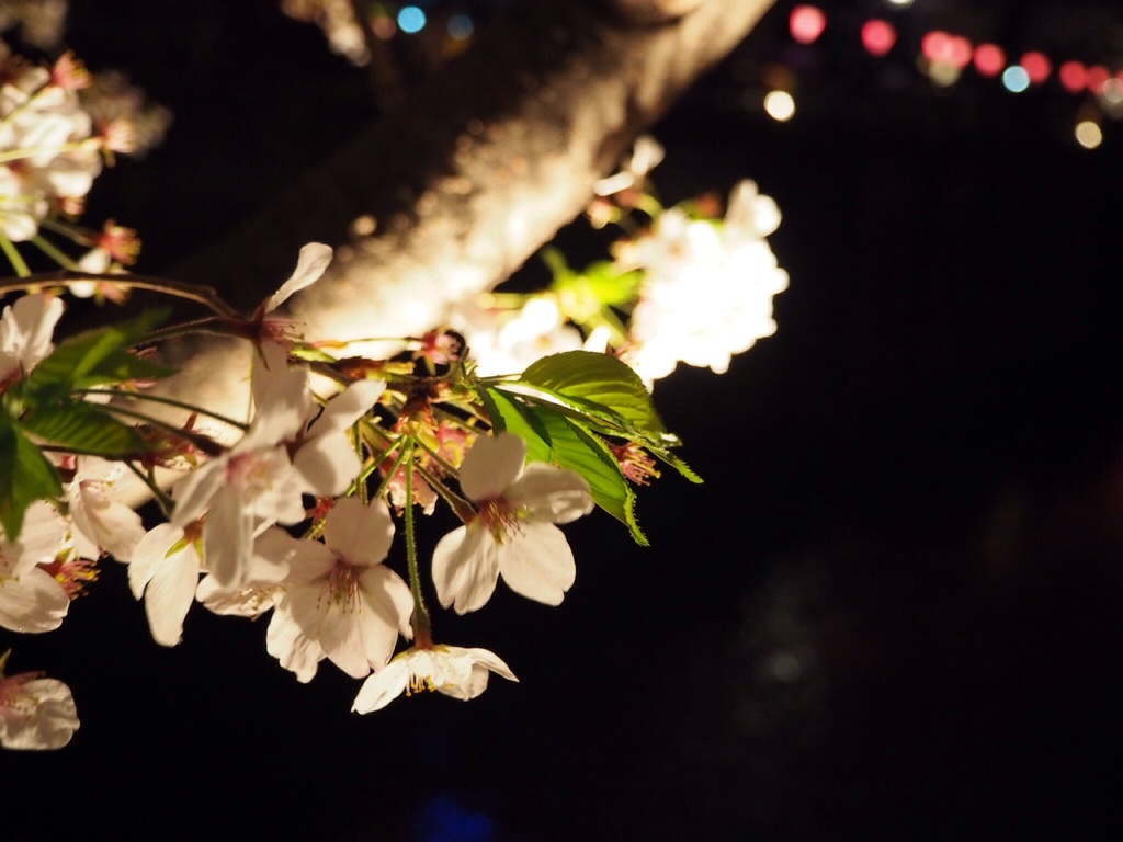 静かな夜に