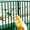 目線の先に