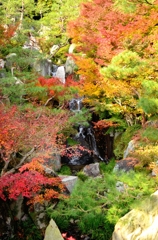 秋の小滝