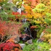 秋の小滝