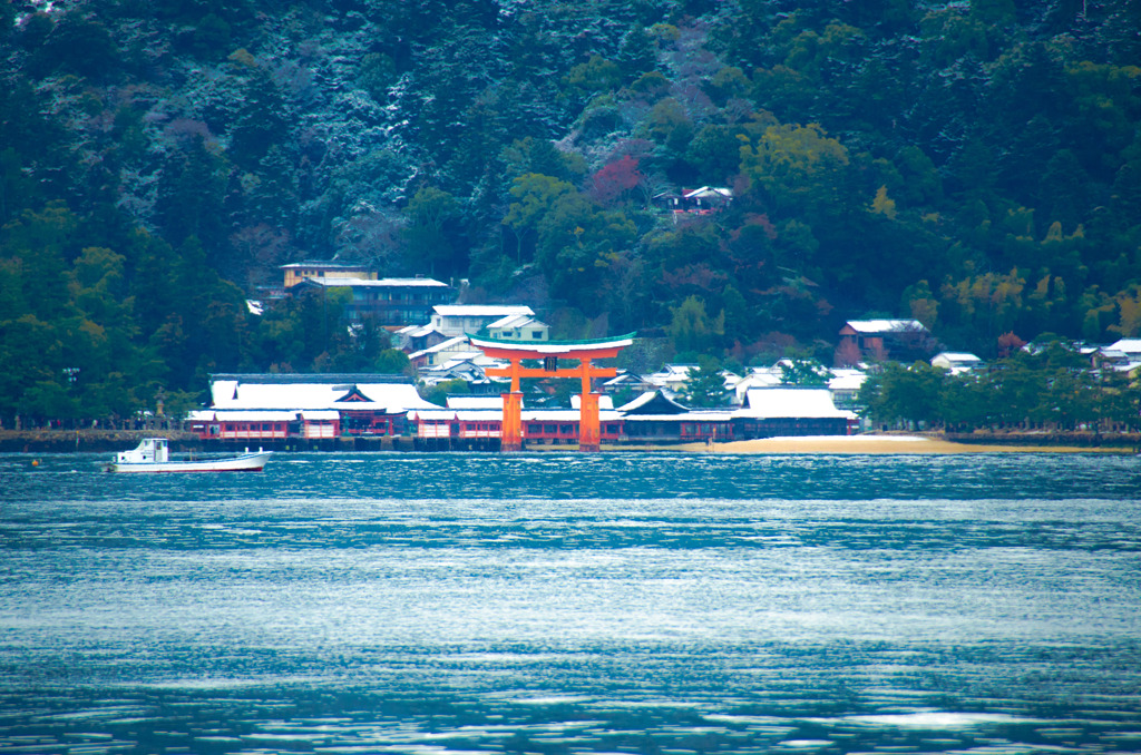 厳島神社の雪化粧
