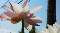 R0010061