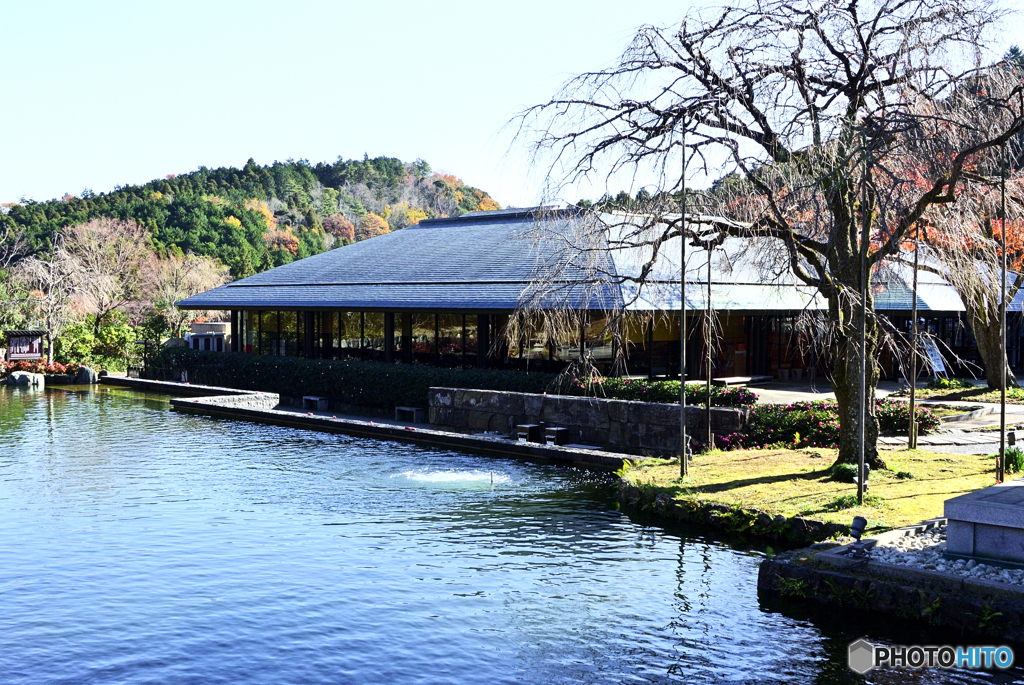 水景のある庭園