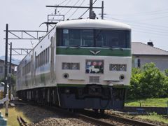185系リバイバルカラー　その2