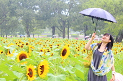 雨とひまわりと彼女