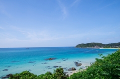 青蒼藍