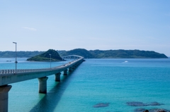 島への一本