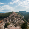 桜咲く吉野のお山