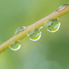 水玉のむこう